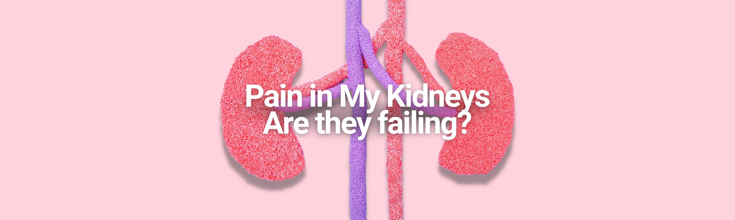 Pain in My Kidneys - Are they failing?