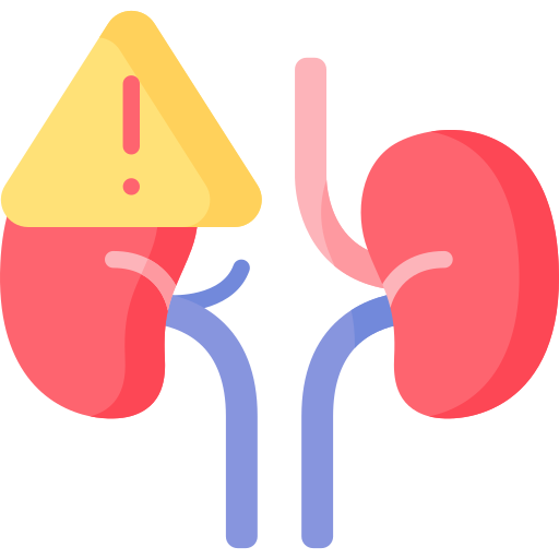 2 kidneys with 1 alert sign on the left kidney