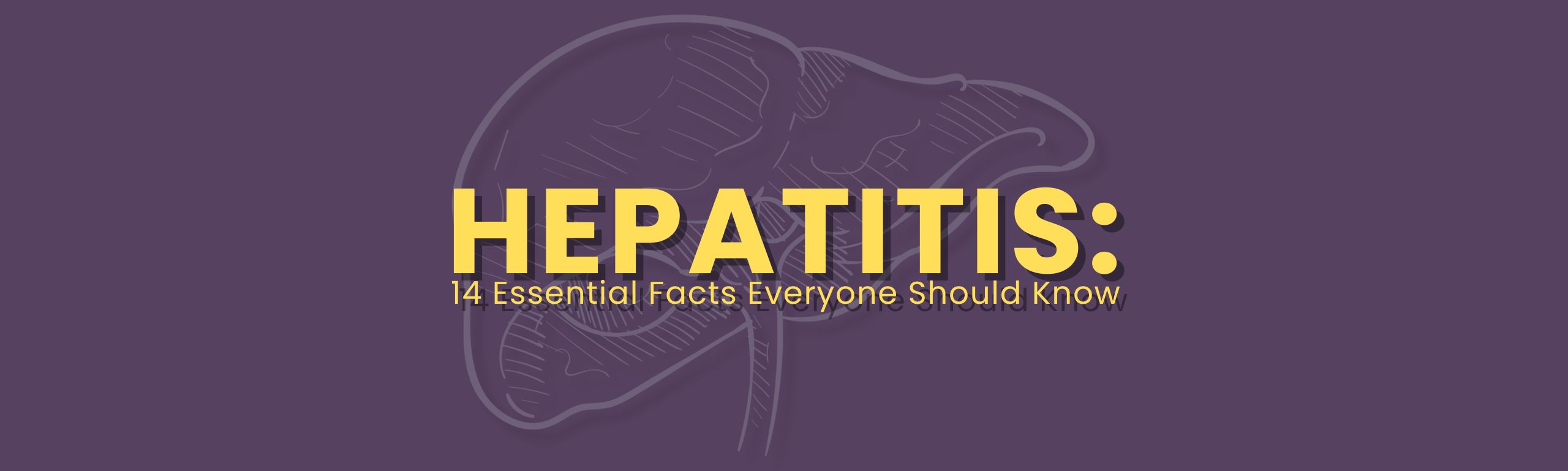 hepatitis myths vs facts: 14 essential facts everyone should know