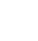 Kidney Health: Sustaining Life’s Hidden Pillars