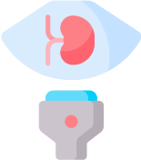 Kidney Health: Sustaining Life’s Hidden Pillars