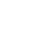 Kidney Health: Sustaining Life’s Hidden Pillars