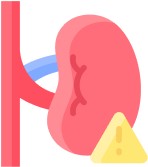 Kidney Health: Sustaining Life’s Hidden Pillars