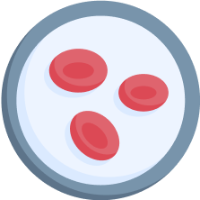 Kidney Health: Sustaining Life’s Hidden Pillars
