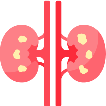 Kidney Health: Sustaining Life’s Hidden Pillars