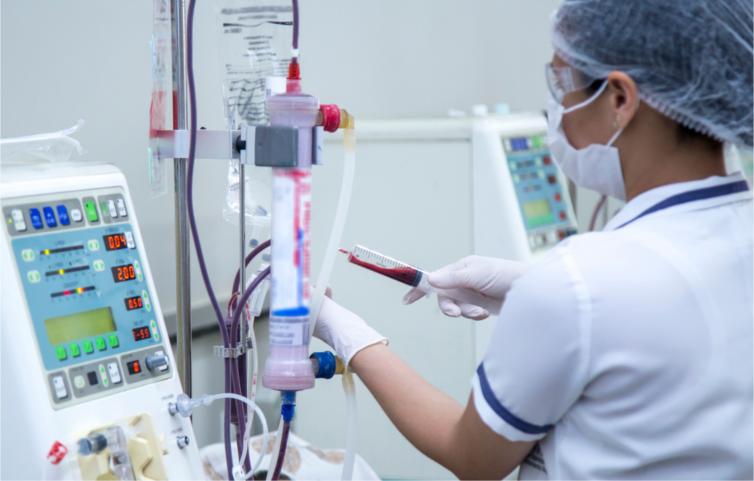 Kidney Health: Sustaining Life’s Hidden Pillars