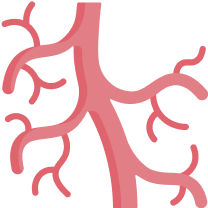 Dialysis – A Lifeline When Kidneys Can’t Keep Up