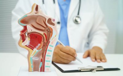 Asian doctor with nasal oral throat cavity neck human anatomy model for study diagnosis and treatment in hospital.