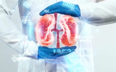 The doctor looks at the kidney hologram, checks the test result on the virtual interface and analyzes the data. Kidney disease, stones, innovative technologies, medicine of the future