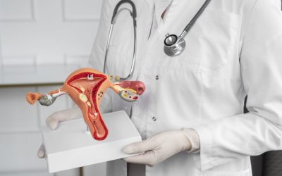 Obstetrics & Gynaecology (Women's Health)